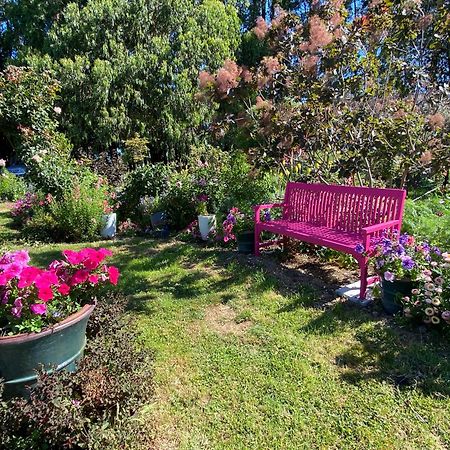 Korimako'S Nest Garden Studio Carterton Exterior foto